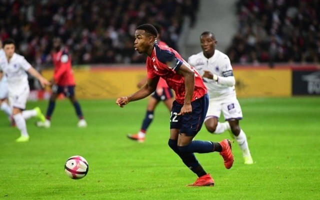 赛中第二年 赛中第二年