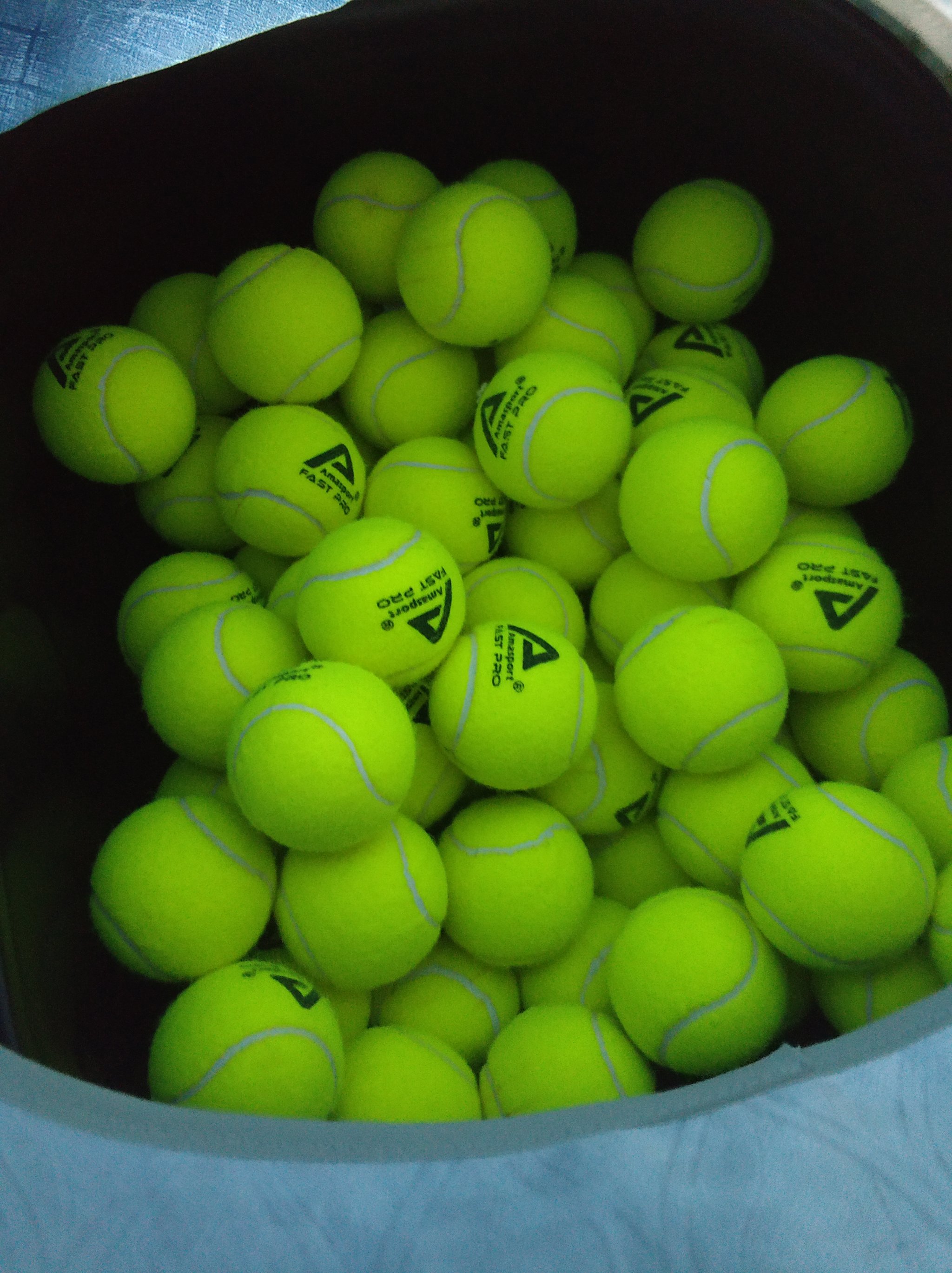 淘汰赛的教 淘汰赛的教